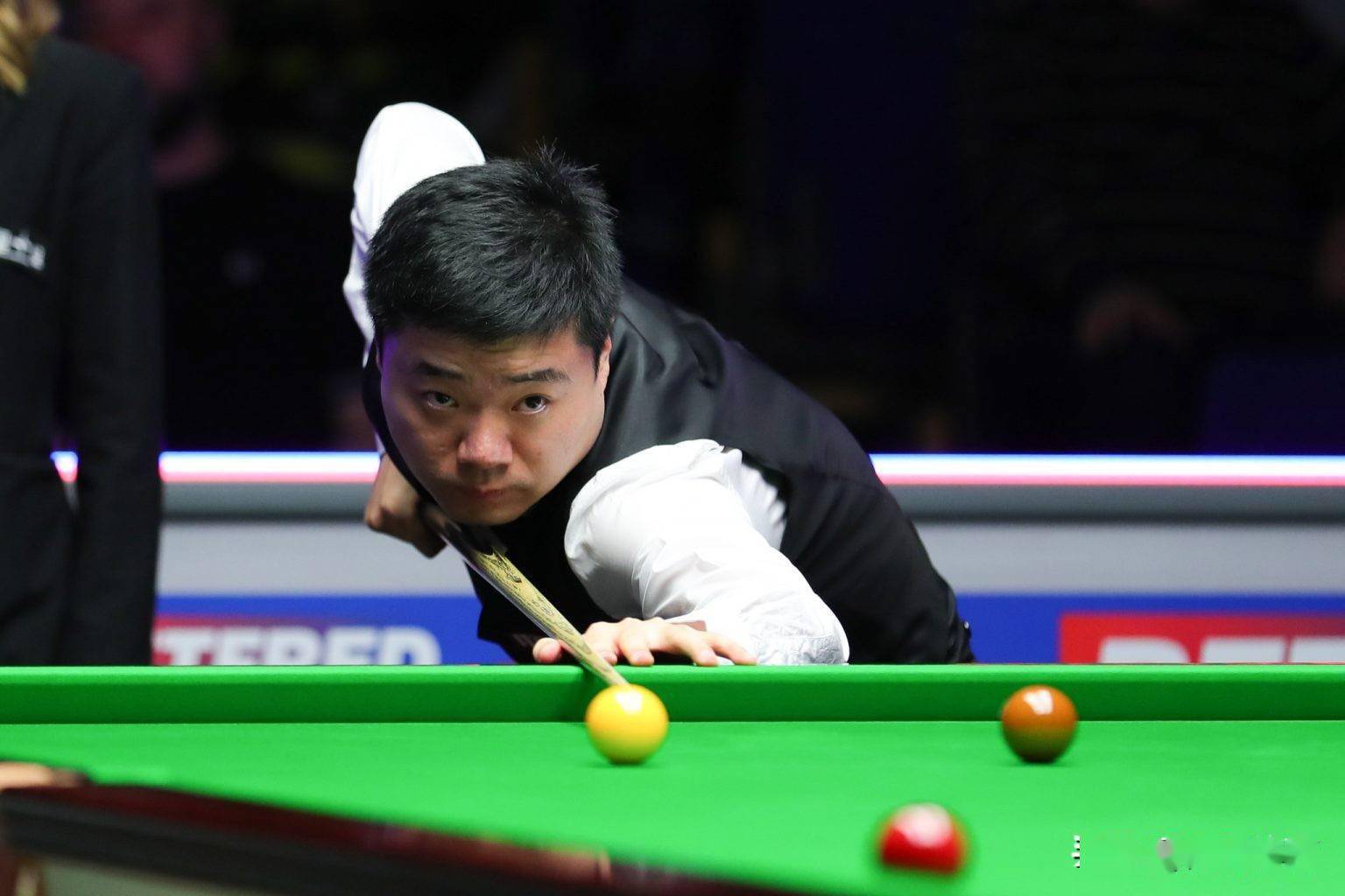 精神和加维 精神和加维