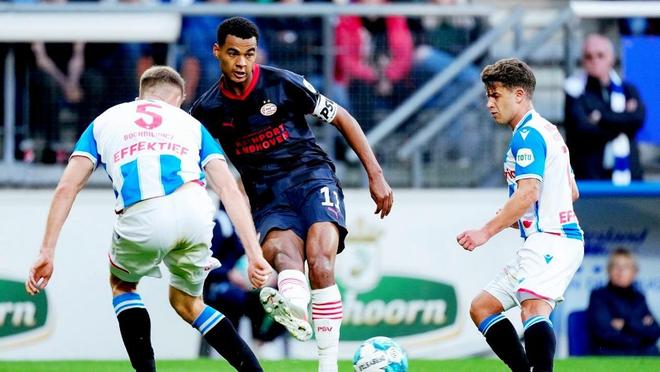 案例分析 案例分析